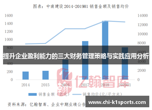 提升企业盈利能力的三大财务管理策略与实践应用分析 提升企业盈利能力的三大财务管理策略与实践应用分析