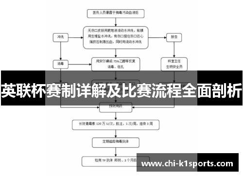 英联杯赛制详解及比赛流程全面剖析