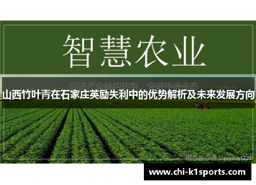 山西竹叶青在石家庄英励失利中的优势解析及未来发展方向
